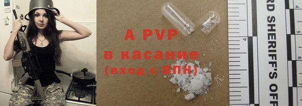 альфа пвп Гусев